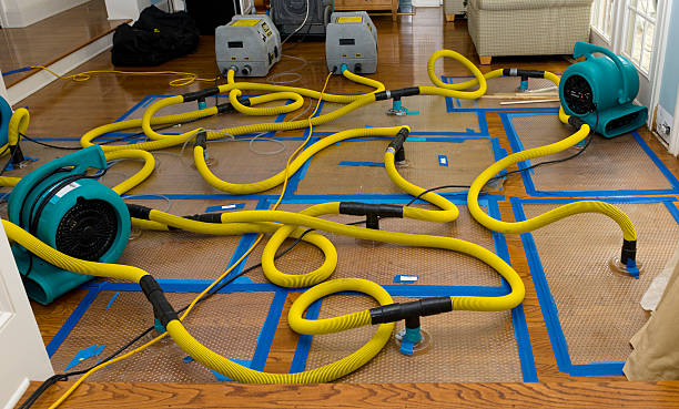 Professional Basement Flood Cleanup technician working in Dalzell, SC